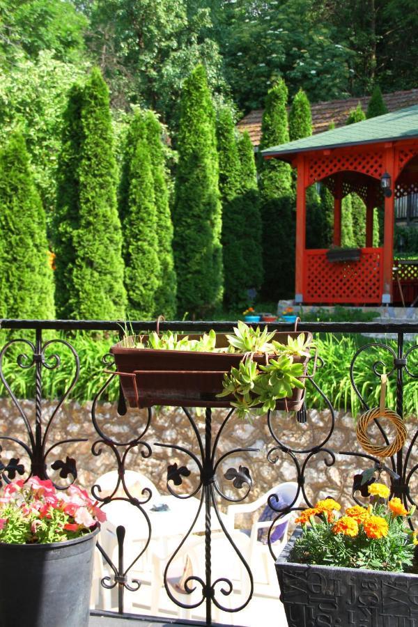 Downtown Green Oasis Apartments SJJ Exterior foto